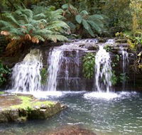 Barrington Tops National Park Walks - Mackay Tourism
