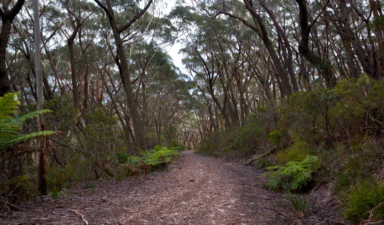 Yadboro NSW Mackay Tourism