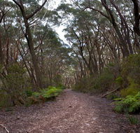 Budawang National Park - Mackay Tourism