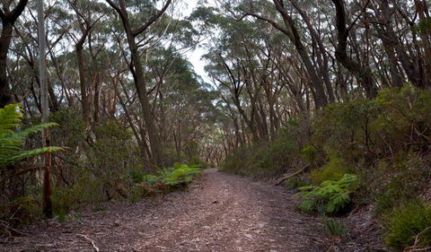 Budawang National Park - Mackay Tourism 0