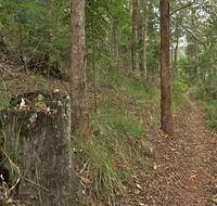 Border loop walk - Mackay Tourism