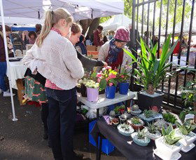 Glebe Markets - Mackay Tourism 3