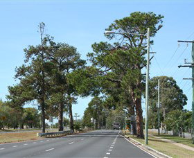 Anzac Memorial Avenue, Redcliffe - Mackay Tourism 2