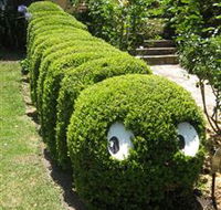 Nutcote - May Gibbs' Home - House Museum - Mackay Tourism