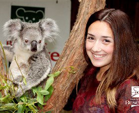 New Lambton NSW Mackay Tourism
