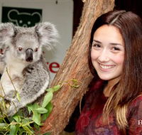 Blackbutt Reserve - Mackay Tourism