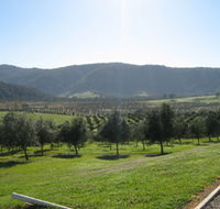 Hastings Valley Olives - Mackay Tourism