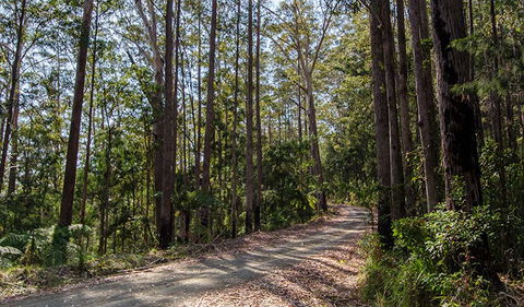 Hastings Forest Way Touring Route - Mackay Tourism 1