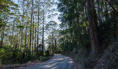 Hastings Forest Way Touring Route - Mackay Tourism 3