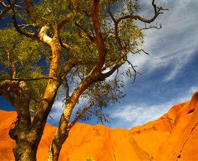 The Artery Aboriginal Art - Mackay Tourism 2