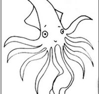 Squid Studio - Mackay Tourism