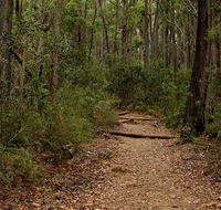 Pigeon House Mountain Didthul walking track - Mackay Tourism