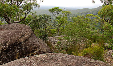 Pigeon House Mountain Didthul Walking Track - Mackay Tourism 1