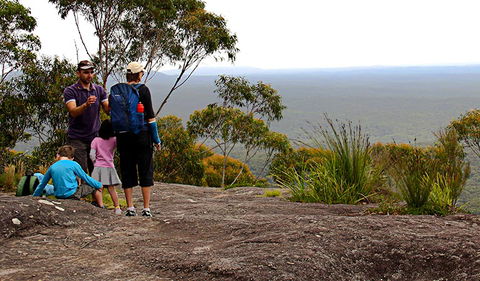 Pigeon House Mountain Didthul Walking Track - Mackay Tourism 2