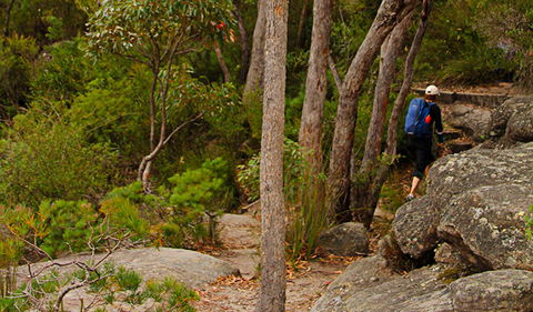 Pigeon House Mountain Didthul Walking Track - Mackay Tourism 3
