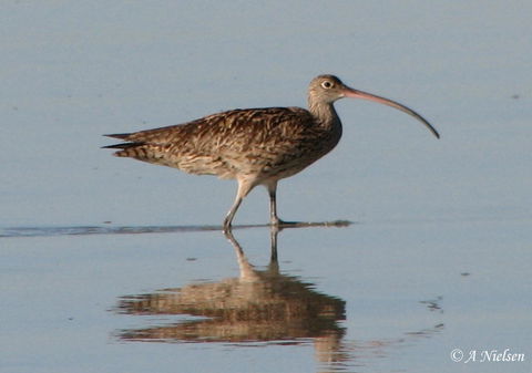 Cooloola Nature - Mackay Tourism 3