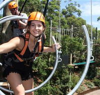Wild Ropes at Taronga Zoo - Mackay Tourism