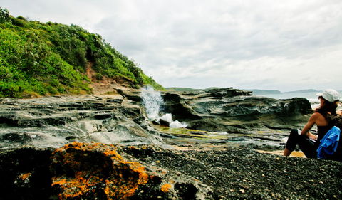 Glenrock State Conservation Area - Mackay Tourism 0