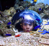 Sea Life Sunshine Coast - Mackay Tourism