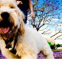 Tuckeroo Park - Mackay Tourism