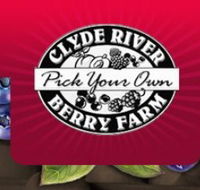 Clyde River Berry Farm - Mackay Tourism