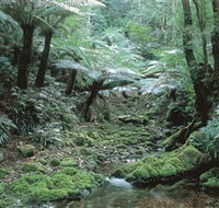 The Corn Trail Walk - Mackay Tourism