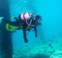 Shellharbour Scuba  Photography Centre - Mackay Tourism