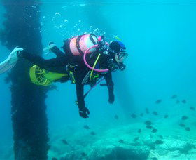 Shellharbour Scuba & Photography Centre - Mackay Tourism 0