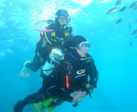 Shellharbour Scuba & Photography Centre - Mackay Tourism 1