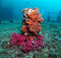 HMAS Brisbane Dive Site - Mackay Tourism
