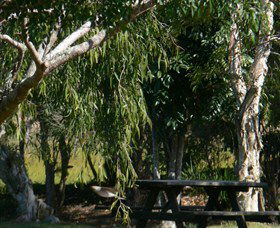 Spring Grove NSW Mackay Tourism