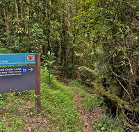 Red Cedar loop - Mackay Tourism