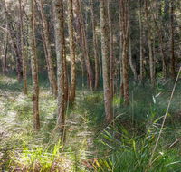 Anabranch loop track - Mackay Tourism