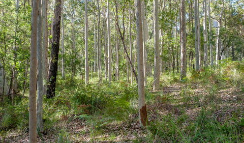 Anabranch Loop Track - Mackay Tourism 2