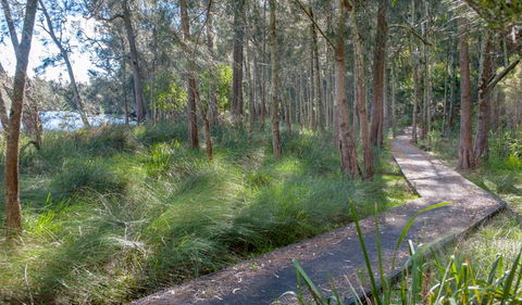 Anabranch Loop Track - Mackay Tourism 3