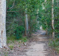 Delta track - Mackay Tourism