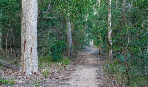 Delta Track - Mackay Tourism 0