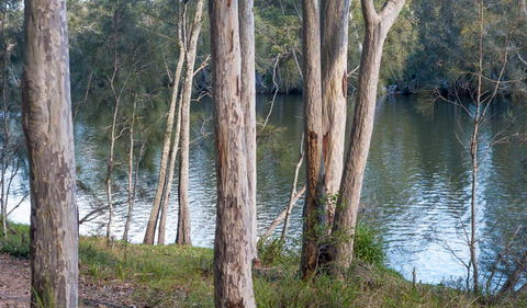 Delta Track - Mackay Tourism 2