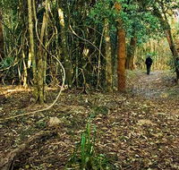 Sand track walk north - Mackay Tourism