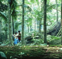 Illinbah circuit - Mackay Tourism