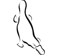 Platypus Gallery - Mackay Tourism