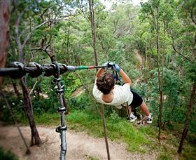 TreeTop Challenge - Mackay Tourism 0