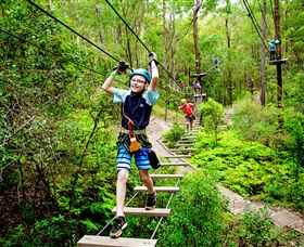 TreeTop Challenge - Mackay Tourism 1