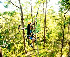 TreeTop Challenge - Mackay Tourism 3