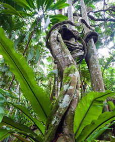  Mackay Tourism