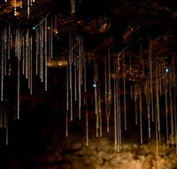 Tamborine Mountain Glow Worm Caves - Mackay Tourism