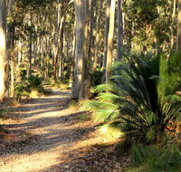 Square Head track 2 - Mackay Tourism