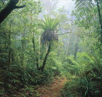 Wagawn - Mackay Tourism