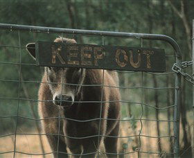 Old Nerrigundah Settlement Trail - Mackay Tourism 1