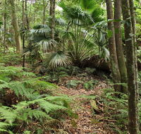 Durras Lake Discovery trail - Mackay Tourism